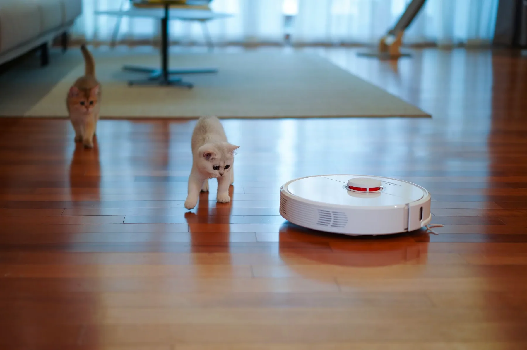 DAVUT robot vacuum in a living room with a cat