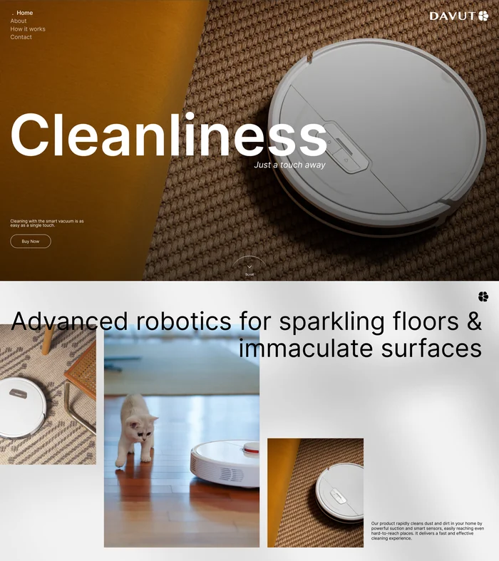 DAVUT website, Cleanliness hero and product sections